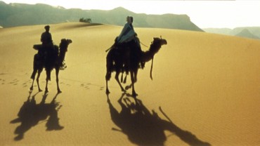 vised-lawrence-of-arabia-wide-screen-camels